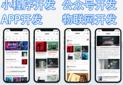 APP定制开发+网站建设+系统开发+软件开发